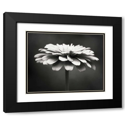 Spellbinding Black Modern Wood Framed Art Print with Double Matting by Cochrane, Carolyn