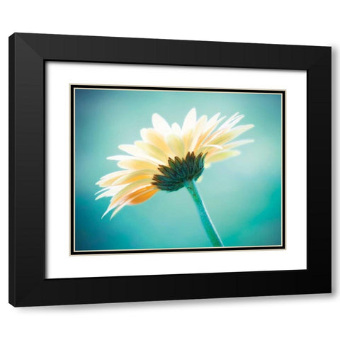 Vanity Black Modern Wood Framed Art Print with Double Matting by Cochrane, Carolyn