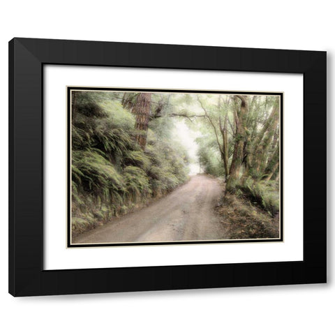 Lost Coast Road Black Modern Wood Framed Art Print with Double Matting by Culver, Laura