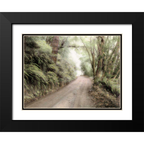 Lost Coast Road Black Modern Wood Framed Art Print with Double Matting by Culver, Laura