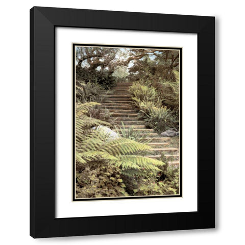 Secret Steps Black Modern Wood Framed Art Print with Double Matting by Culver, Laura