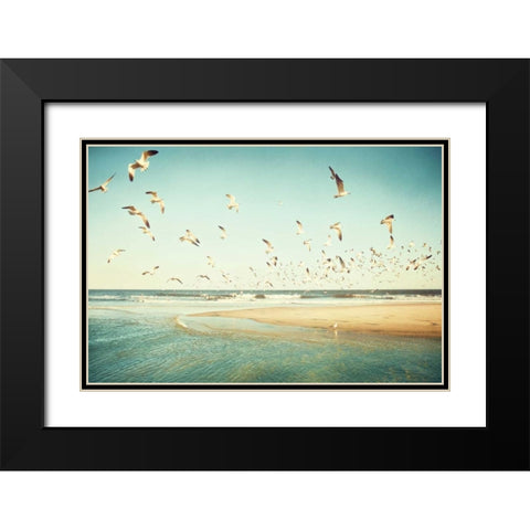 Freedom Black Modern Wood Framed Art Print with Double Matting by Cochrane, Carolyn