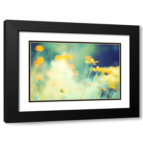 In the Meadow Black Modern Wood Framed Art Print with Double Matting by Cochrane, Carolyn