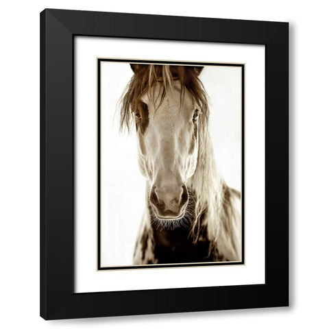 Wilbur Cruz Black Modern Wood Framed Art Print with Double Matting by Dearing, Lisa