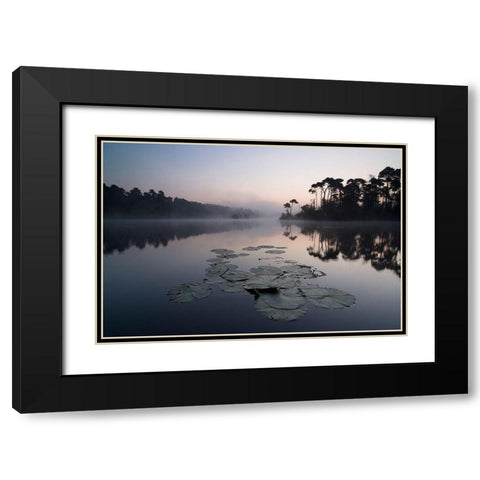 Oisterwijkse Vennen Black Modern Wood Framed Art Print with Double Matting by Dragt, Wilco