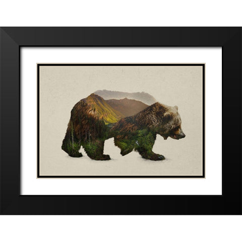 North American Brown Bear Black Modern Wood Framed Art Print with Double Matting by Davies Babies