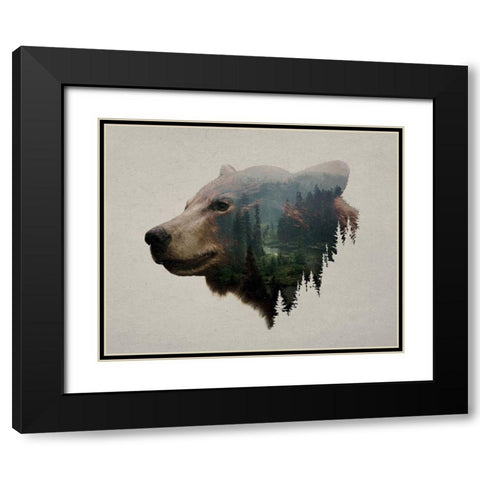Pacific Northwest Black Bear Black Modern Wood Framed Art Print with Double Matting by Davies Babies