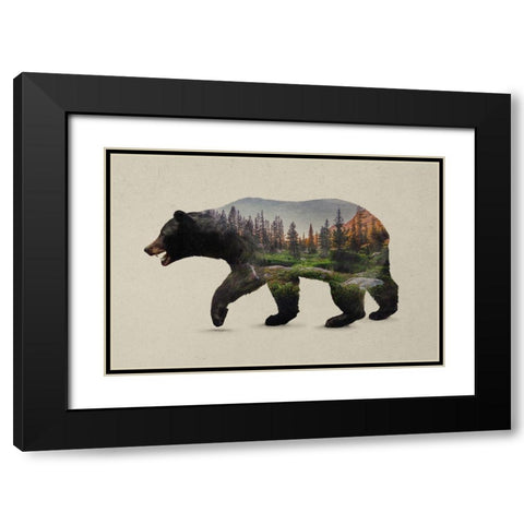 The North American Black Bear Black Modern Wood Framed Art Print with Double Matting by Davies Babies