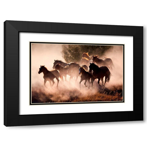 Horses Black Modern Wood Framed Art Print with Double Matting by Dearing, Lisa