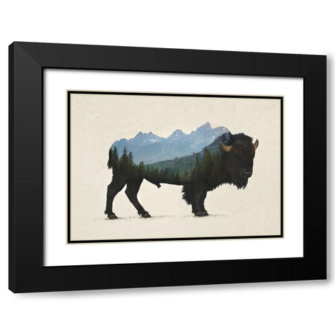 Grand Teton Bison Black Modern Wood Framed Art Print with Double Matting by Davies Babies
