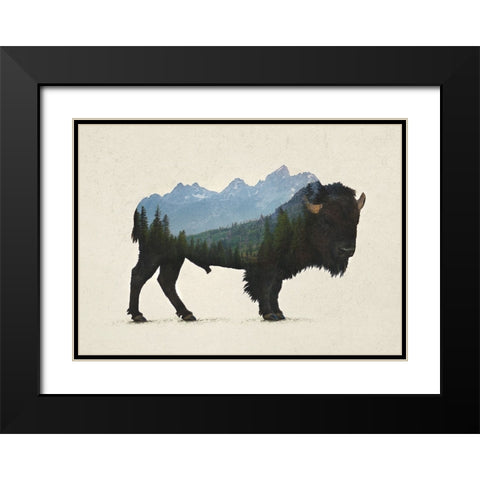 Grand Teton Bison Black Modern Wood Framed Art Print with Double Matting by Davies Babies