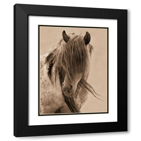 Freedom Black Modern Wood Framed Art Print with Double Matting by Dearing, Lisa