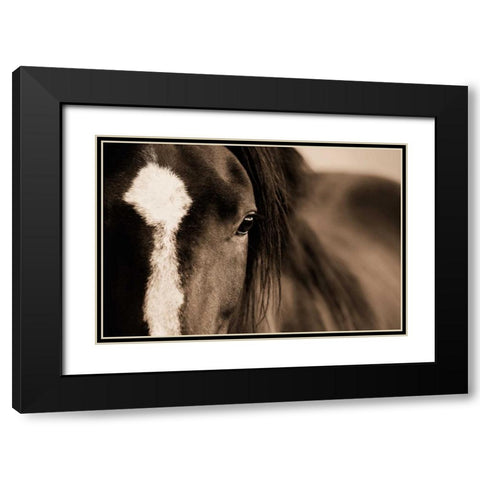 Dark Eyes Black Modern Wood Framed Art Print with Double Matting by Dearing, Lisa
