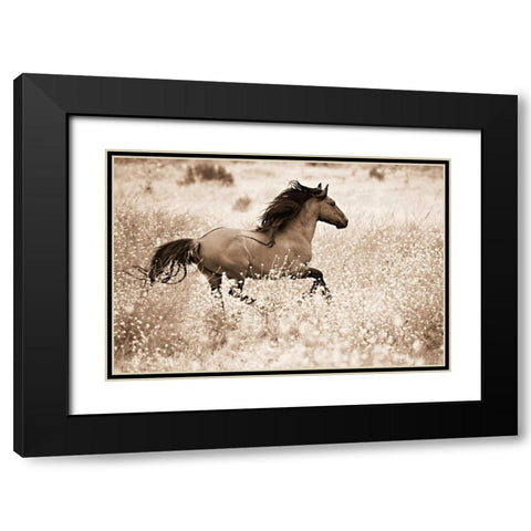 Running Free Black Modern Wood Framed Art Print with Double Matting by Dearing, Lisa
