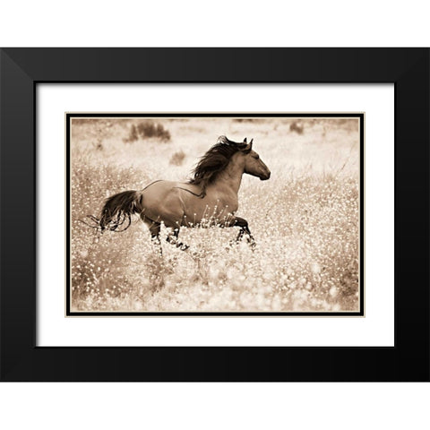 Running Free Black Modern Wood Framed Art Print with Double Matting by Dearing, Lisa