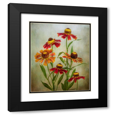 Cabaret Black Modern Wood Framed Art Print with Double Matting by Disher, Mandy