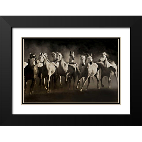Dream Horses Black Modern Wood Framed Art Print with Double Matting by Dearing, Lisa