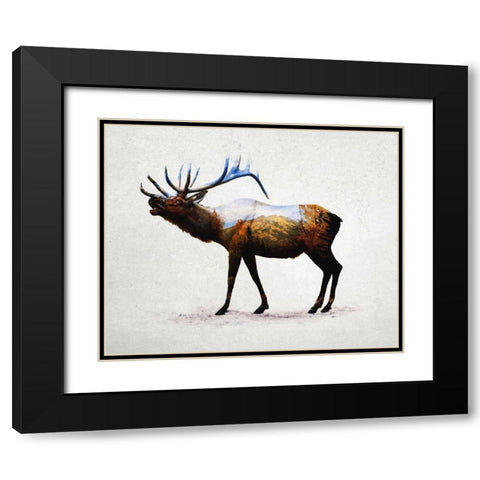 Rocky Mountain Elk Black Modern Wood Framed Art Print with Double Matting by Davies Babies