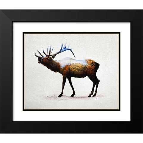 Rocky Mountain Elk Black Modern Wood Framed Art Print with Double Matting by Davies Babies