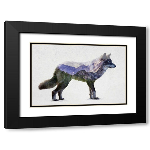 Rocky Mountain Grey Wolf Black Modern Wood Framed Art Print with Double Matting by Davies Babies