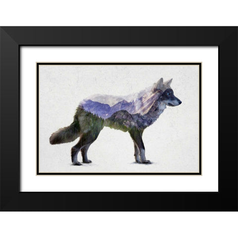 Rocky Mountain Grey Wolf Black Modern Wood Framed Art Print with Double Matting by Davies Babies