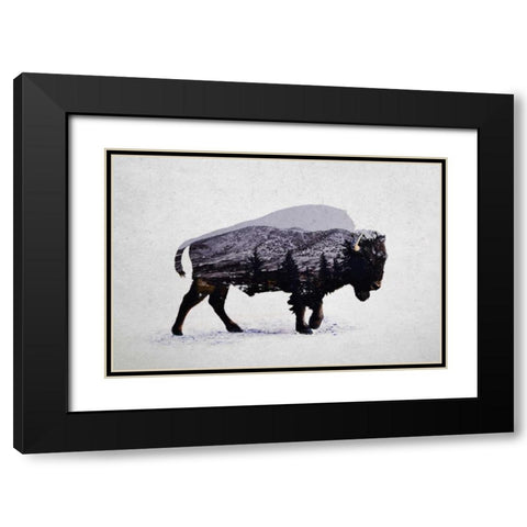 The American Bison Black Modern Wood Framed Art Print with Double Matting by Davies Babies