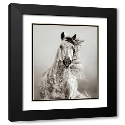 Caballo de Andaluz Black Modern Wood Framed Art Print with Double Matting by Dearing, Lisa