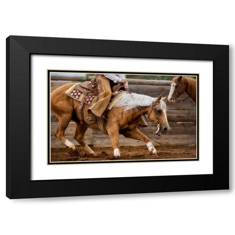 Cutting Horses Black Modern Wood Framed Art Print with Double Matting by Dearing, Lisa