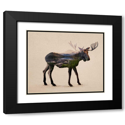 The Alaskan Bull Moose Black Modern Wood Framed Art Print with Double Matting by Davies Babies