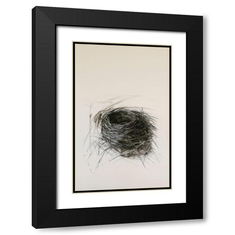 Habitat Nest Black Modern Wood Framed Art Print with Double Matting by Ekstrand, Kris