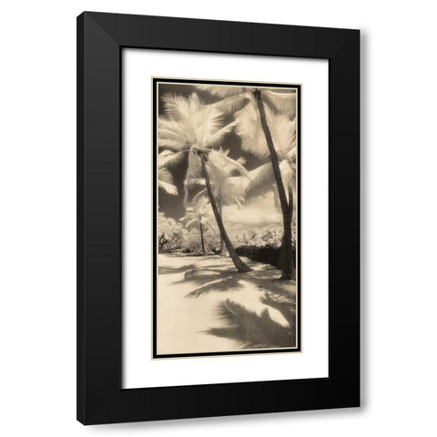 Palm Shadows II Black Modern Wood Framed Art Print with Double Matting by Friedman, Susan