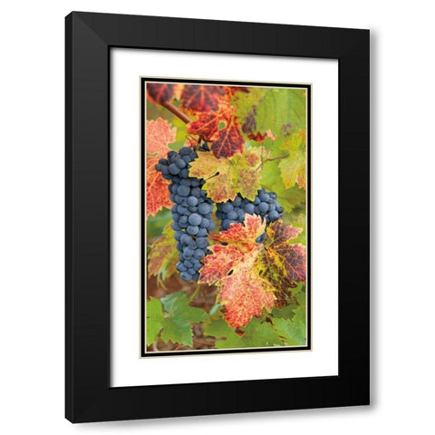 Summit Lake Zinfandel Black Modern Wood Framed Art Print with Double Matting by Foster, Christopher