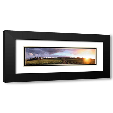 Gout de Terroir Black Modern Wood Framed Art Print with Double Matting by Foster, Christopher