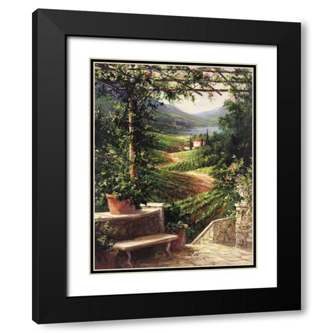 Chianti Vineyard Black Modern Wood Framed Art Print with Double Matting by Fronckowiak, Art