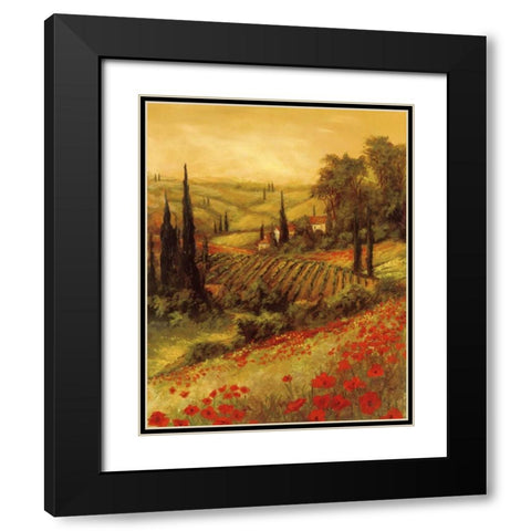 Toscano Valley II Black Modern Wood Framed Art Print with Double Matting by Fronckowiak, Art