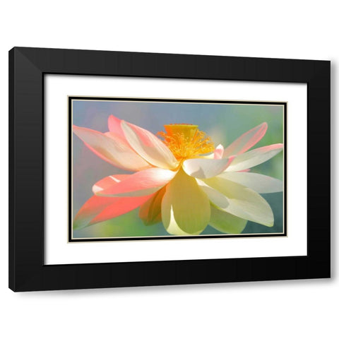 Dancing Queen Black Modern Wood Framed Art Print with Double Matting by Farzad, Bahman