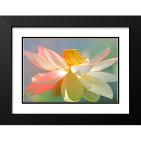 Dancing Queen Black Modern Wood Framed Art Print with Double Matting by Farzad, Bahman