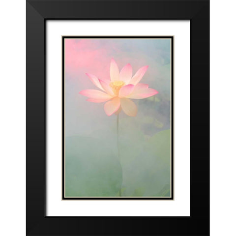 Pink Passion Black Modern Wood Framed Art Print with Double Matting by Farzad, Bahman