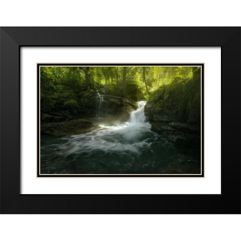 Stream of Life Black Modern Wood Framed Art Print with Double Matting by Fossati, Enrico