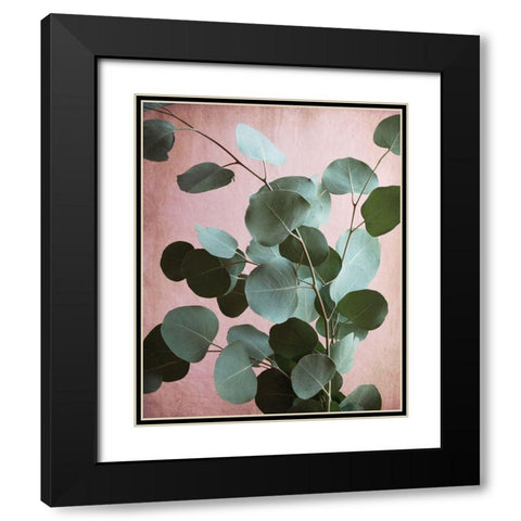 Sage Eucalyptus No. 1 Black Modern Wood Framed Art Print with Double Matting by Grainne, Lupen