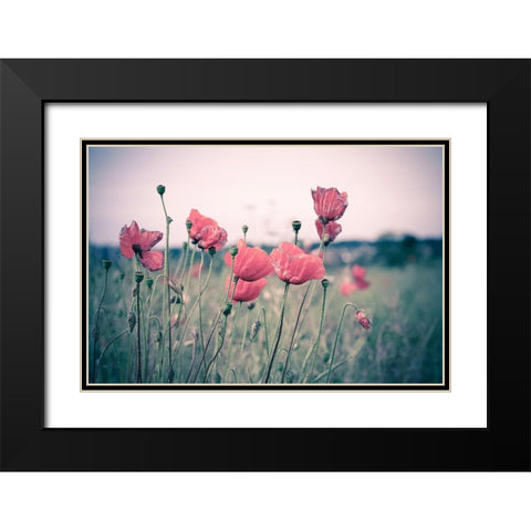 Pink Tulips Black Modern Wood Framed Art Print with Double Matting by Goncalves, Adelino