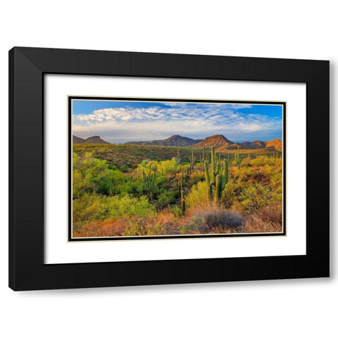 Jewel Evening Black Modern Wood Framed Art Print with Double Matting by Gavrilis, John