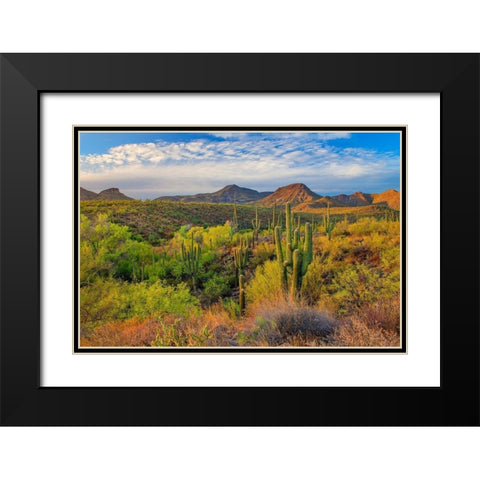 Jewel Evening Black Modern Wood Framed Art Print with Double Matting by Gavrilis, John