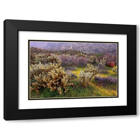 Desert Cactus and Wildflowers Black Modern Wood Framed Art Print with Double Matting by Gavrilis, John