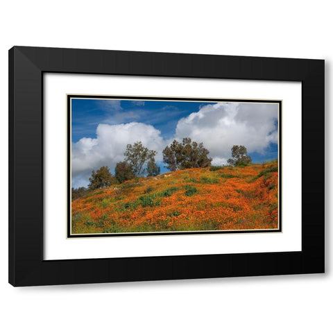 Poppies-Trees And Clouds Black Modern Wood Framed Art Print with Double Matting by Gavrilis, John
