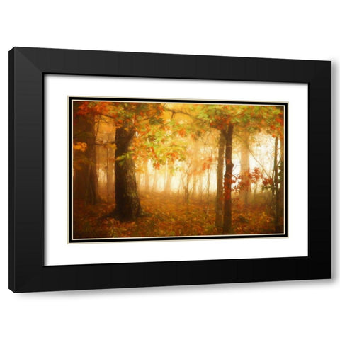 Autumns Rainbow Black Modern Wood Framed Art Print with Double Matting by Grippo-Pike, Carrie Ann
