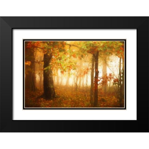 Autumns Rainbow Black Modern Wood Framed Art Print with Double Matting by Grippo-Pike, Carrie Ann