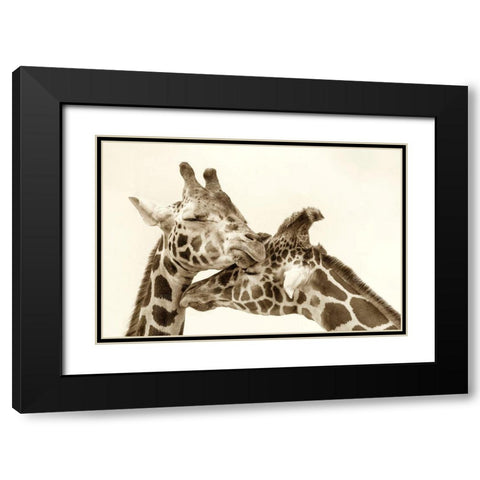 In Love Black Modern Wood Framed Art Print with Double Matting by Grippo-Pike, Carrie Ann