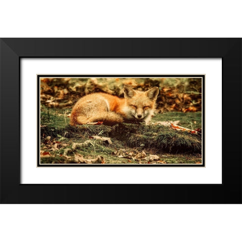 Sleeping Beauty Black Modern Wood Framed Art Print with Double Matting by Grippo-Pike, Carrie Ann
