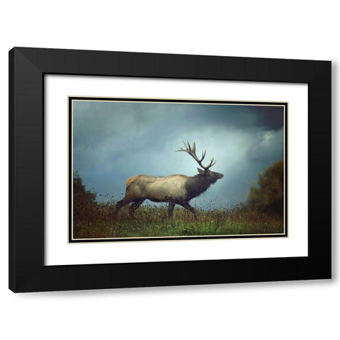 The Elk Black Modern Wood Framed Art Print with Double Matting by Grippo-Pike, Carrie Ann